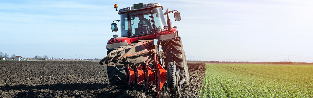 Secteur de l'agriculture